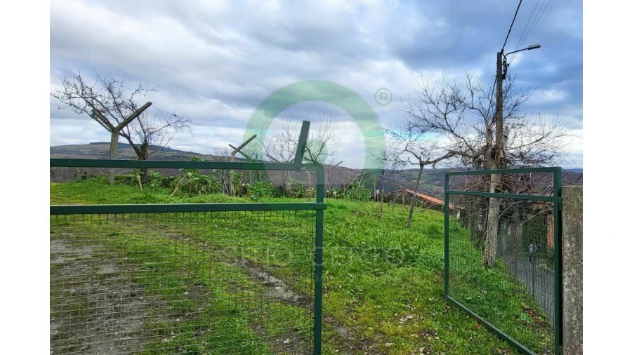 Moradia T4 para Venda em Paço Foto 4