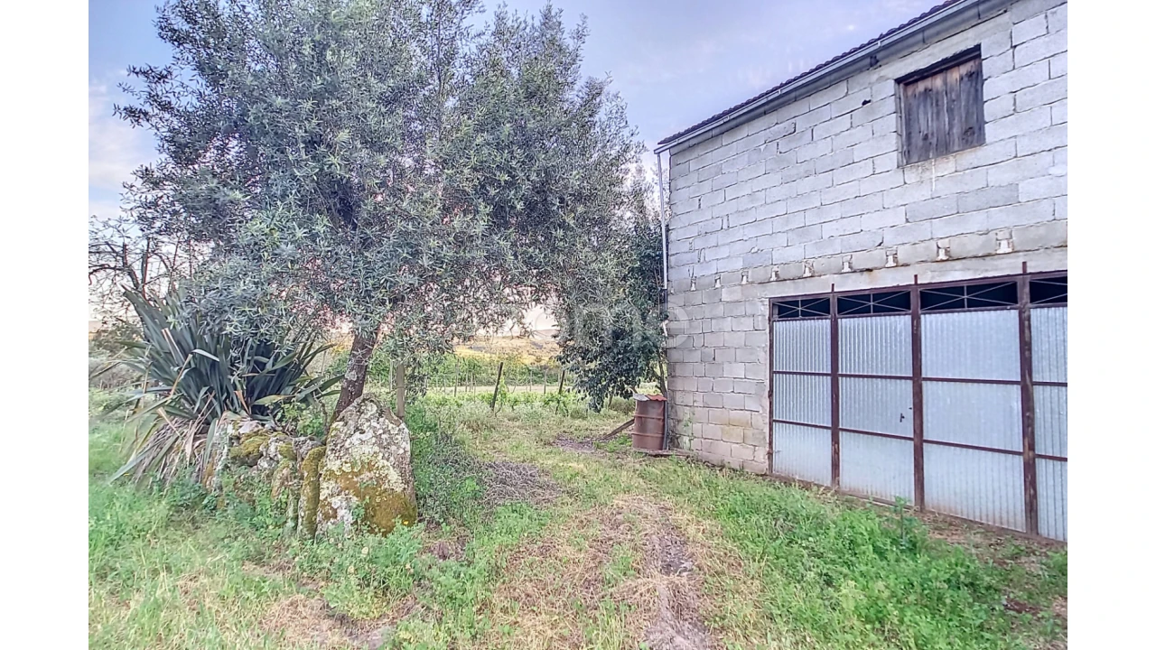 Terreno para Venda em Vila Cova do Covelo/Mareco Foto 17