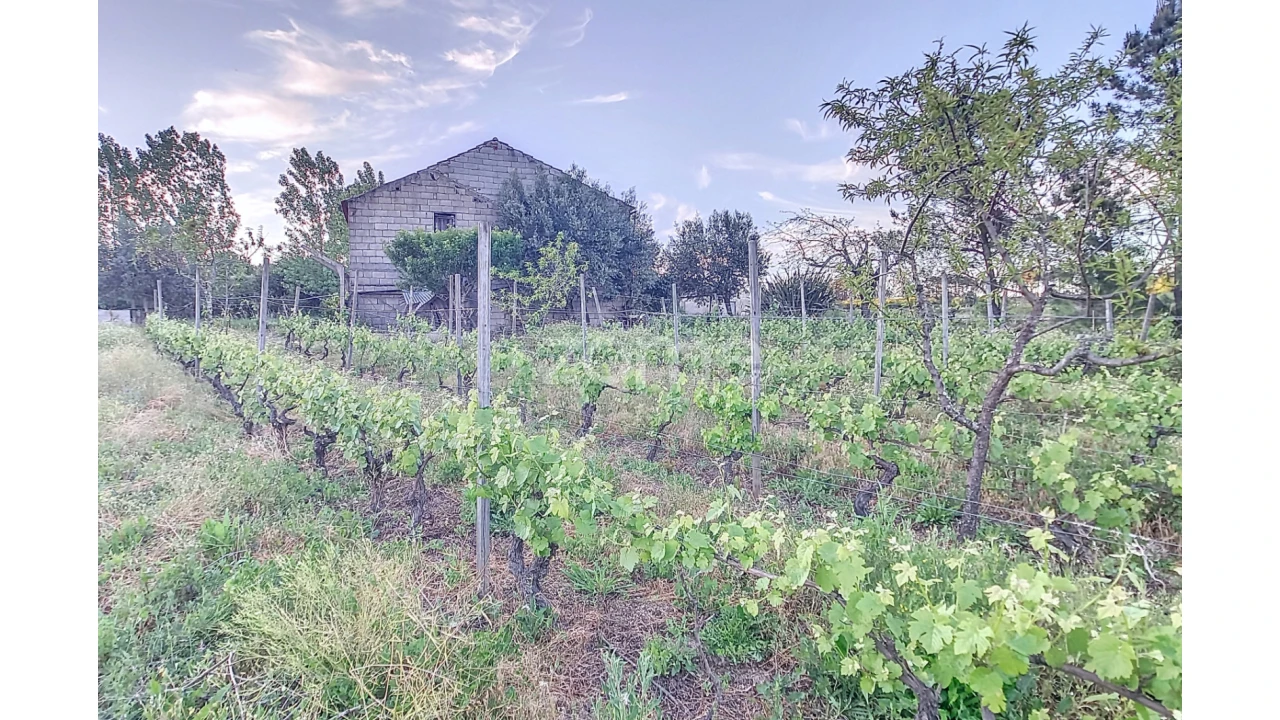 Terreno para Venda em Vila Cova do Covelo/Mareco Foto 1