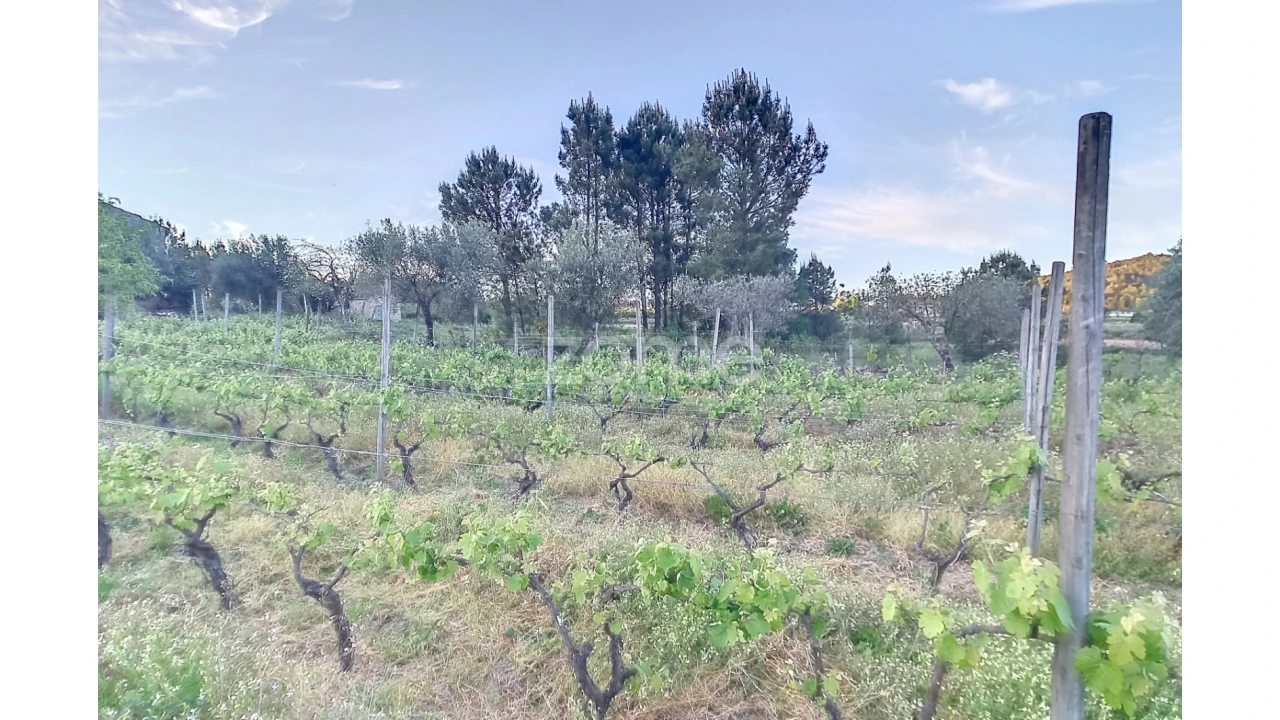 Terreno para Venda em Vila Cova do Covelo/Mareco Foto 5