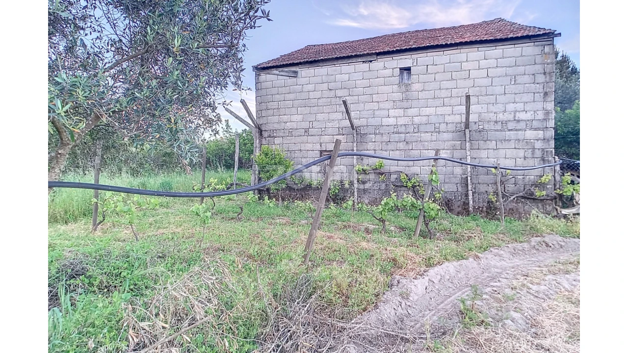 Terreno para Venda em Vila Cova do Covelo/Mareco Foto 20