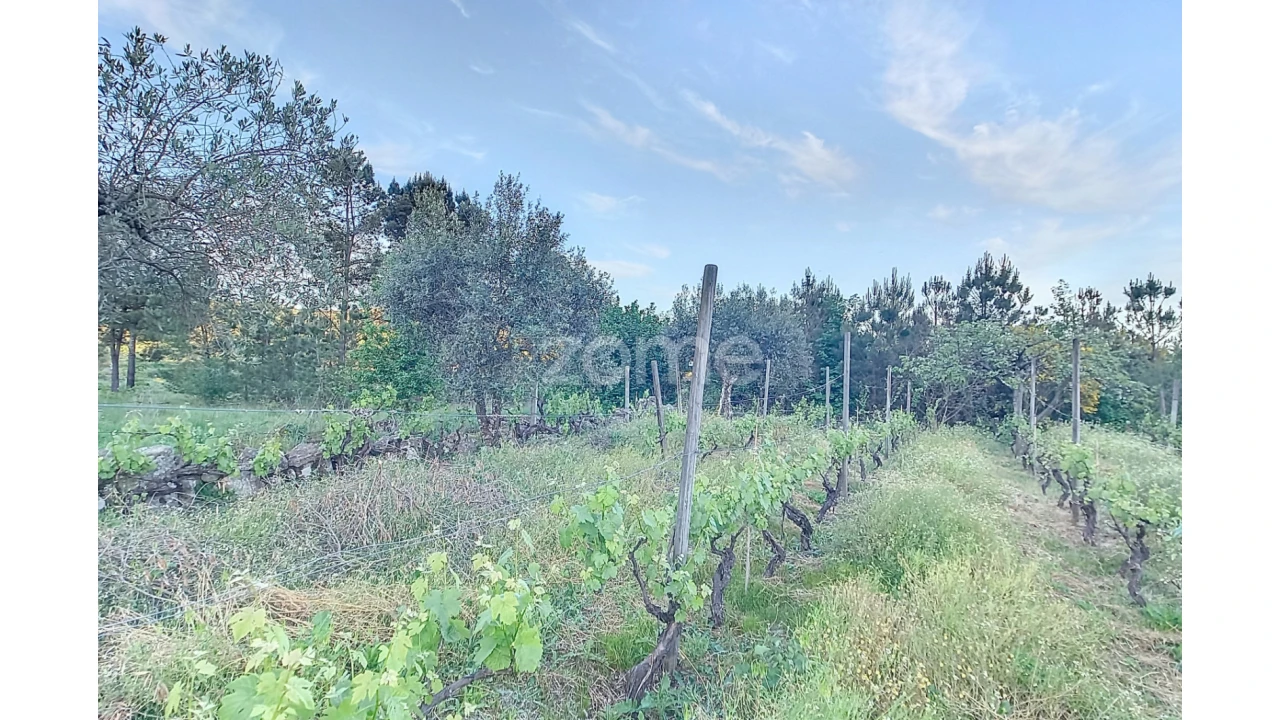 Terreno para Venda em Vila Cova do Covelo/Mareco Foto 14