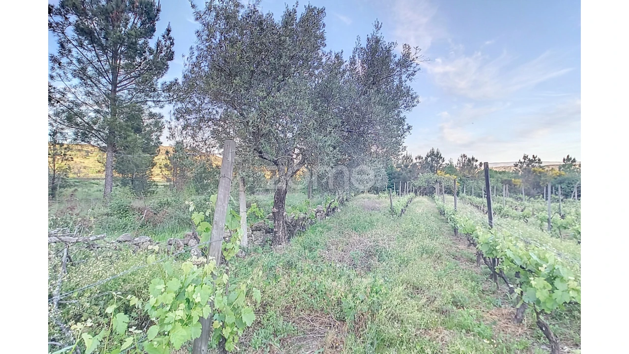 Terreno para Venda em Vila Cova do Covelo/Mareco Foto 10