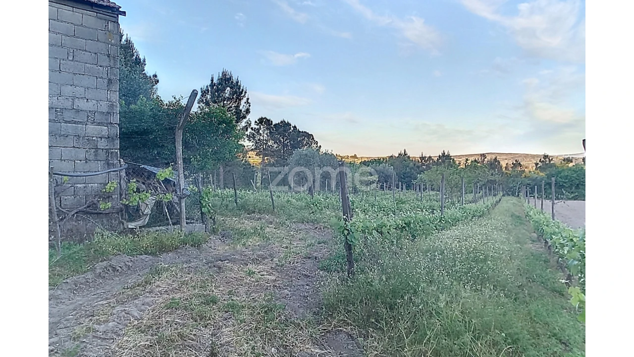 Terreno para Venda em Vila Cova do Covelo/Mareco Foto 4
