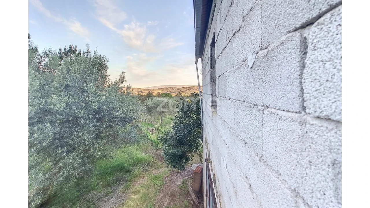 Terreno para Venda em Vila Cova do Covelo/Mareco Foto 8