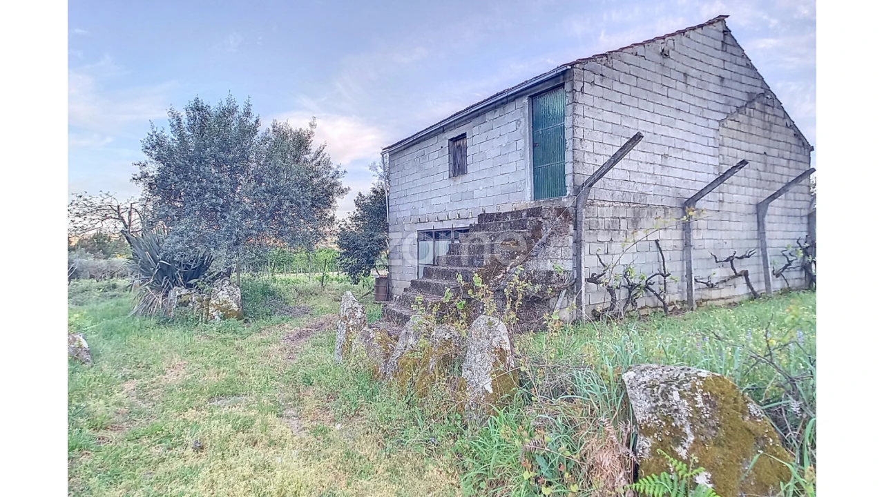 Terreno para Venda em Vila Cova do Covelo/Mareco Foto 16