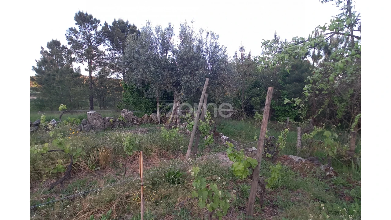 Terreno para Venda em Vila Cova do Covelo/Mareco Foto 9