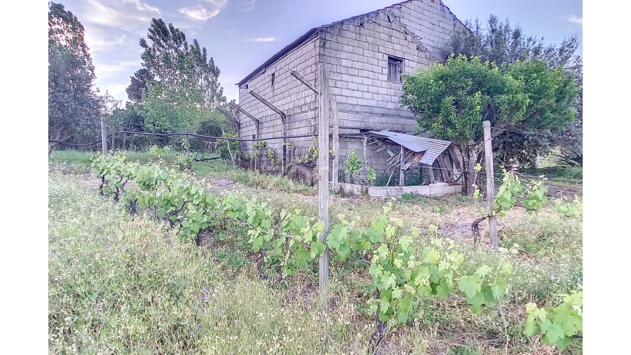 Terreno para Venda em Vila Cova do Covelo/Mareco Foto 3
