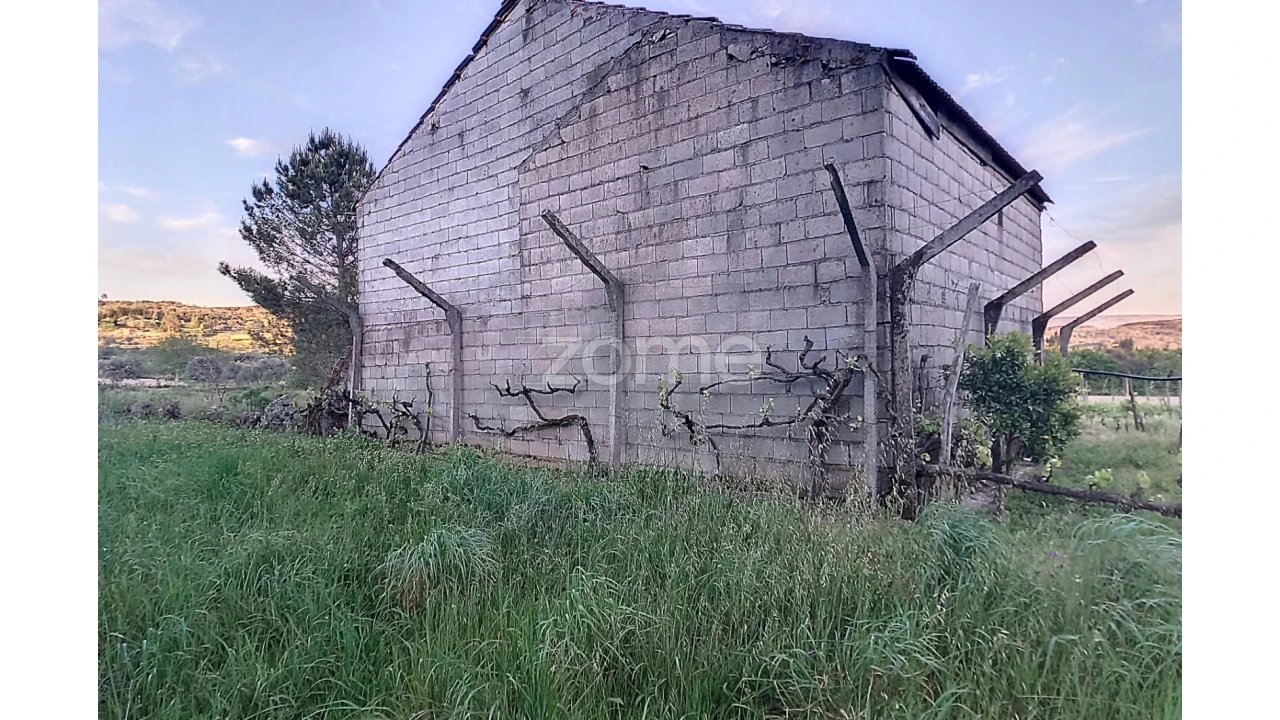 Terreno para Venda em Vila Cova do Covelo/Mareco Foto 7
