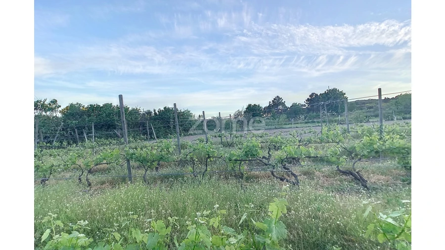 Terreno para Venda em Vila Cova do Covelo/Mareco Foto 11
