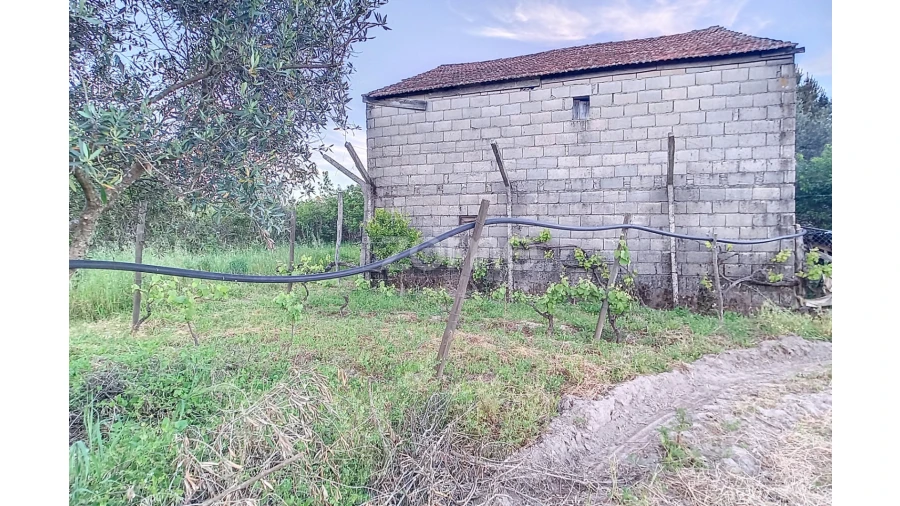 Terreno para Venda em Vila Cova do Covelo/Mareco Foto 20