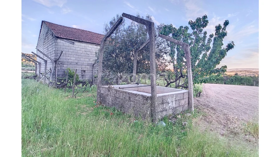 Terreno para Venda em Vila Cova do Covelo/Mareco Foto 2