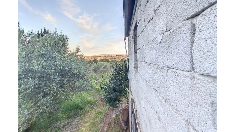 Terreno para Venda em Vila Cova do Covelo/Mareco Foto 9