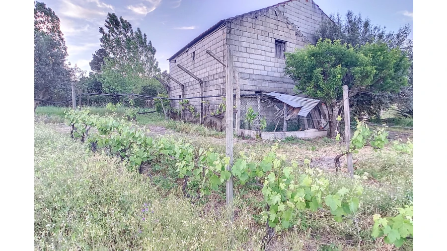 Terreno para Venda em Vila Cova do Covelo/Mareco Foto 18