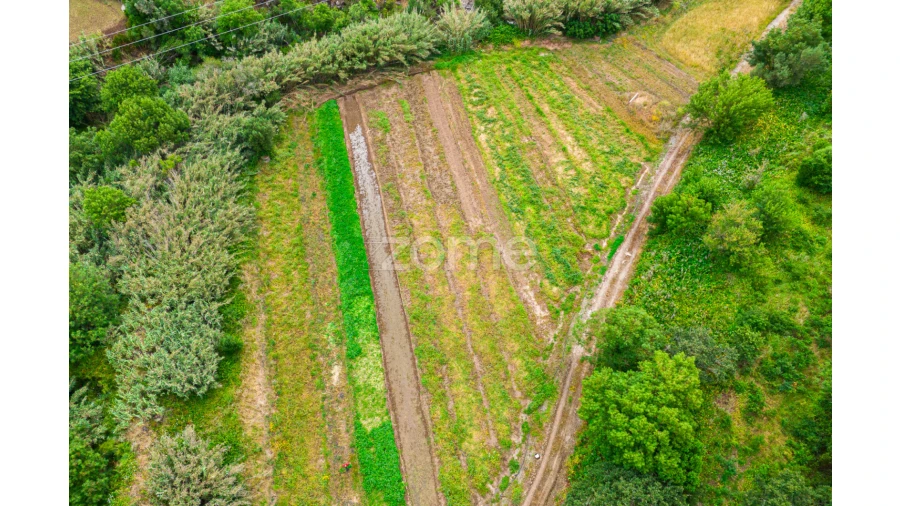 Quinta T4 para Venda em Loures Foto 15