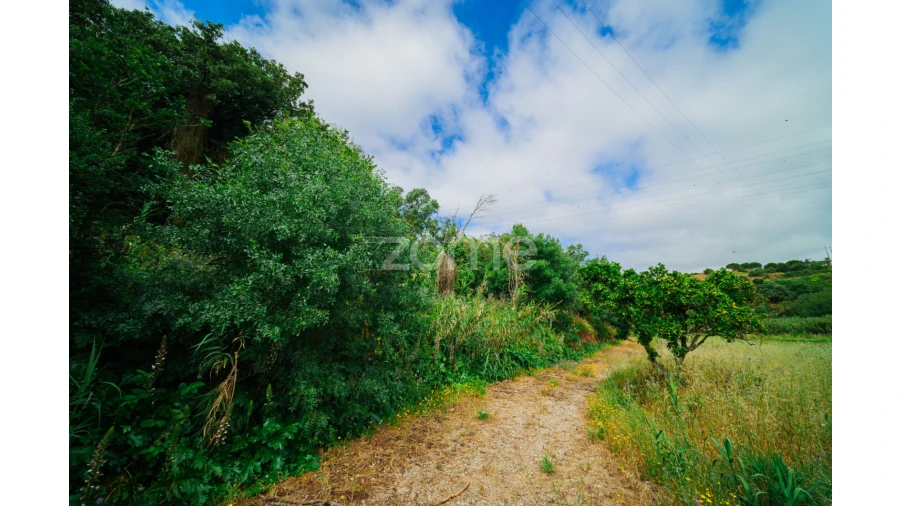 Quinta T4 para Venda em Loures Foto 14