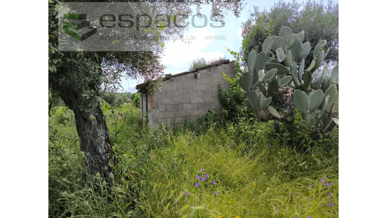 Quinta para Venda em Lardosa Foto 1