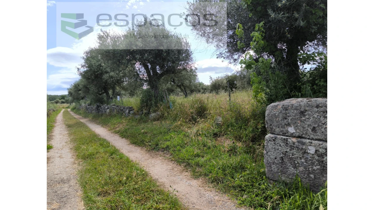 Quinta para Venda em Lardosa Foto 6