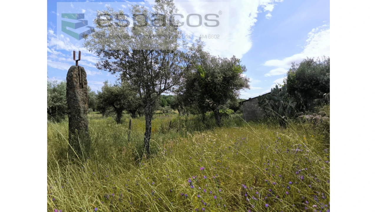 Quinta para Venda em Lardosa Foto 8