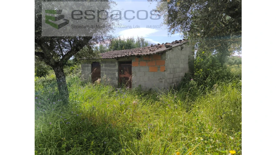 Quinta para Venda em Lardosa Foto 2