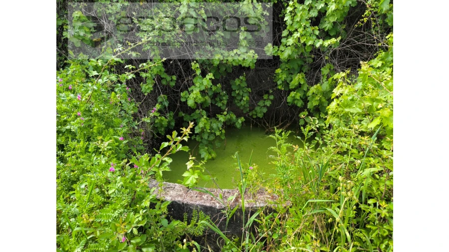 Quinta para Venda em Lardosa Foto 10