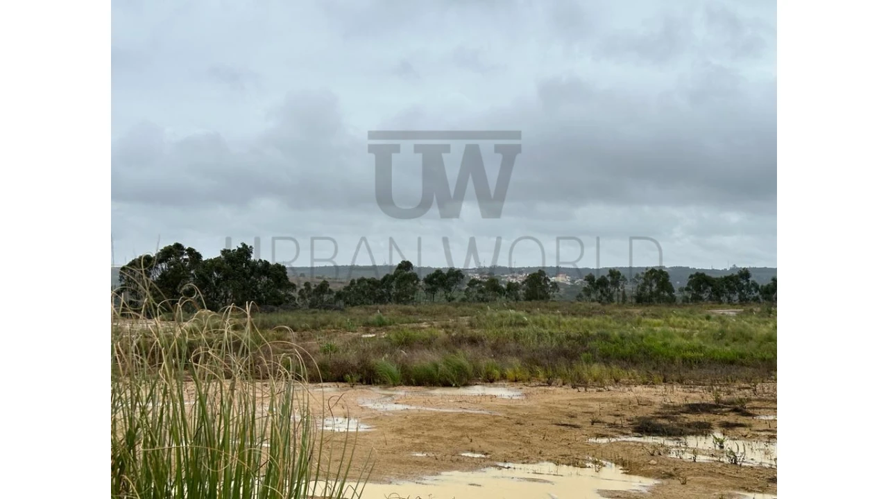 Terreno Comércio / Armazém para Venda em Santo Isidoro Foto 6
