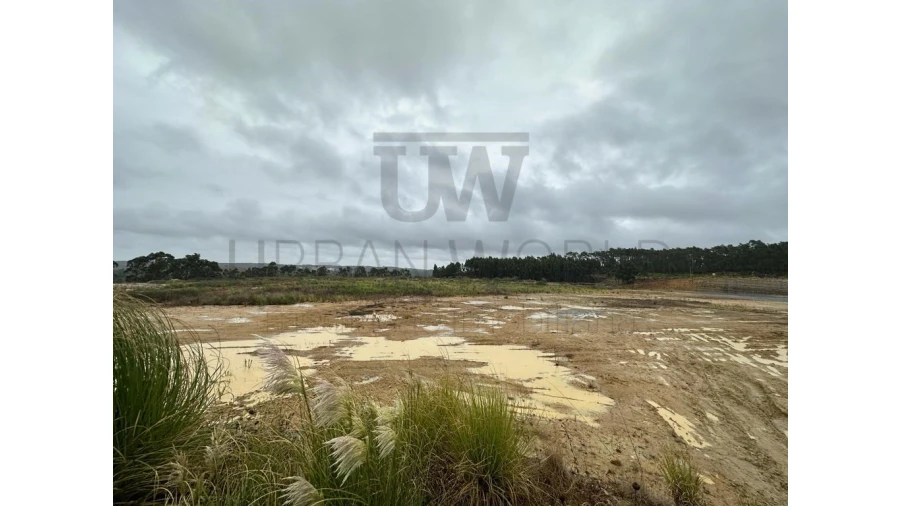 Terreno Comércio / Armazém para Venda em Santo Isidoro Foto 5