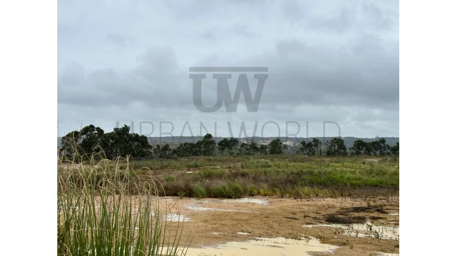 Terreno Comércio / Armazém para Venda em Santo Isidoro Foto 6