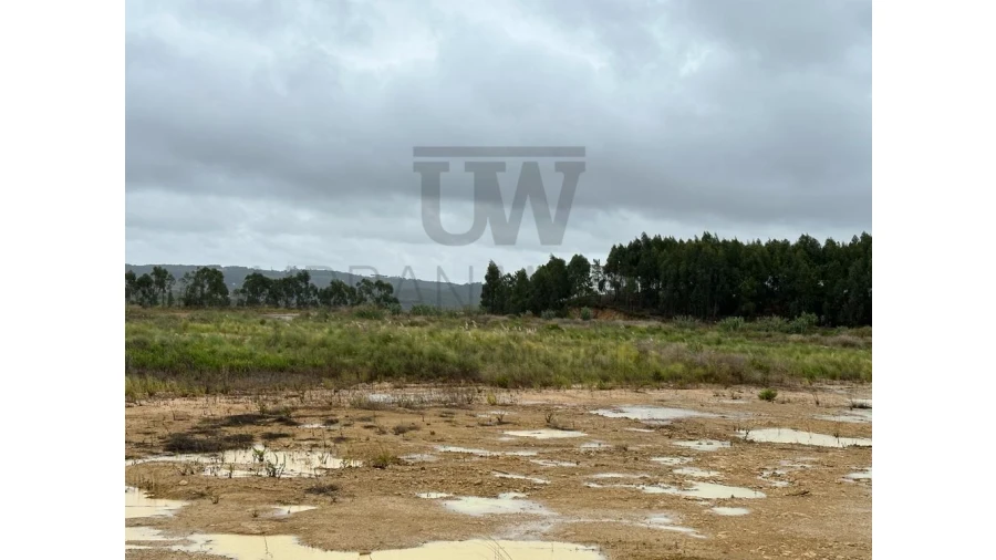 Terreno Comércio / Armazém para Venda em Santo Isidoro Foto 7