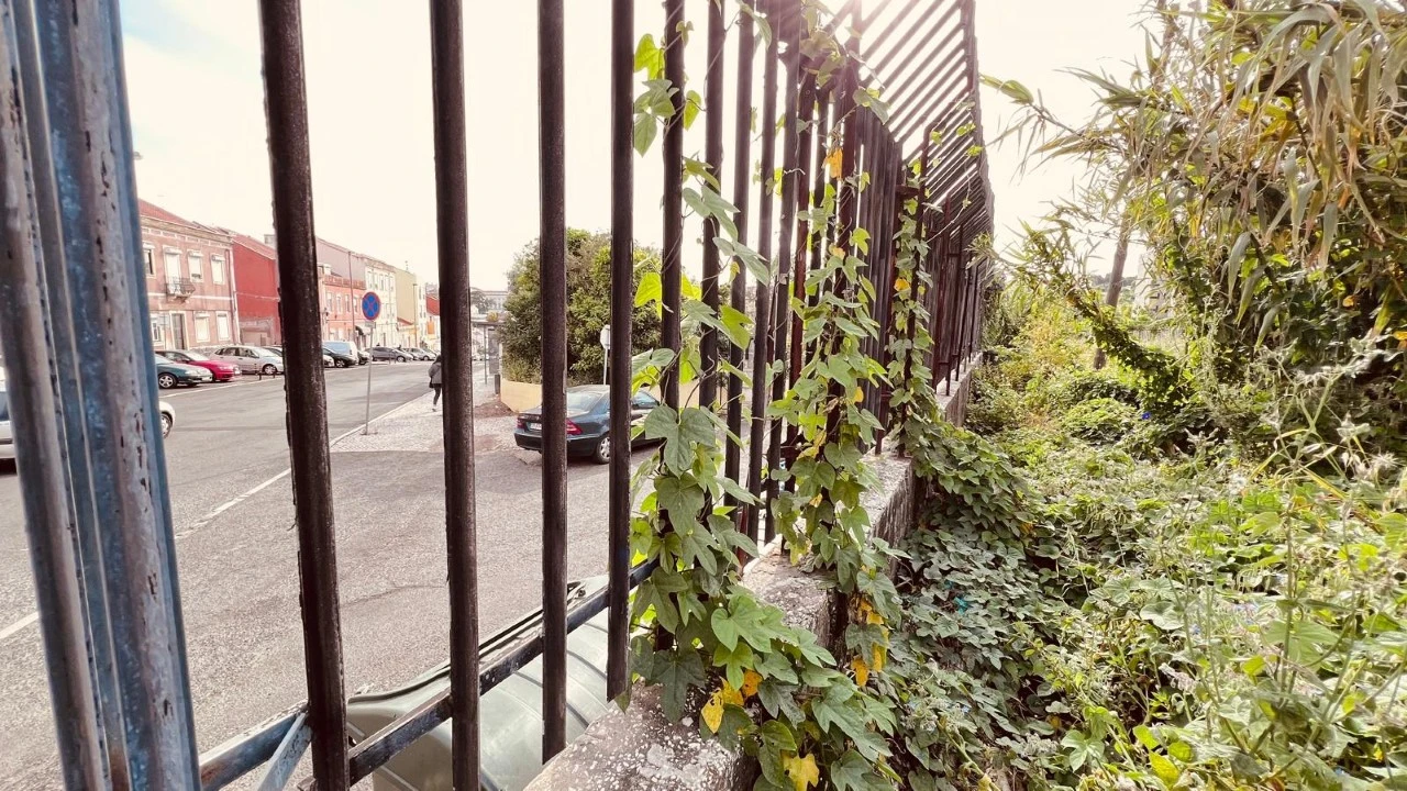 Terreno para Venda em Alcantara Foto 3