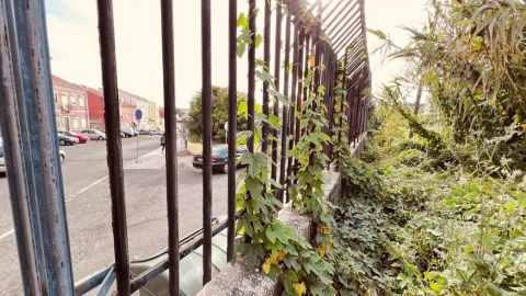 Terreno para Venda em Alcantara