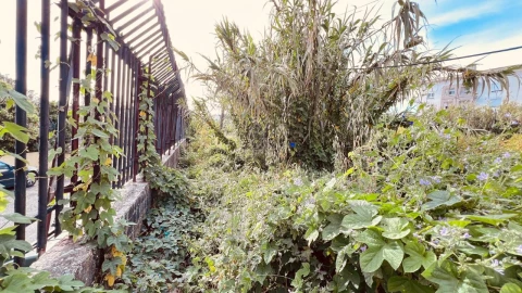 Terreno para Venda em Alcantara