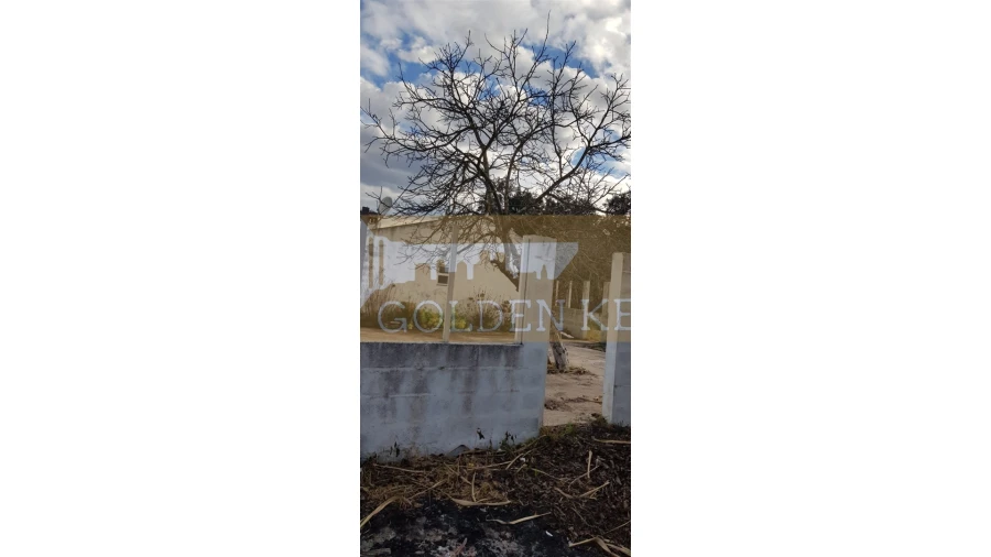 Moradia T2 para Venda em Alvega e Concavada Foto 21