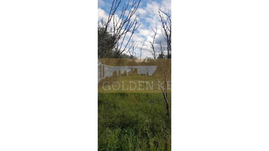 Moradia T2 para Venda em Alvega e Concavada Foto 3