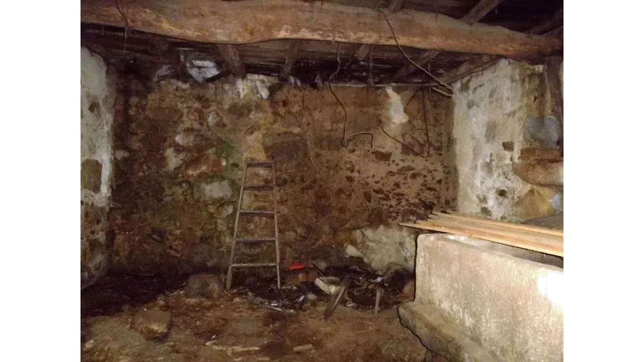 Quinta T3 para Venda em Nogueira do Cravo e Pindelo Foto 5