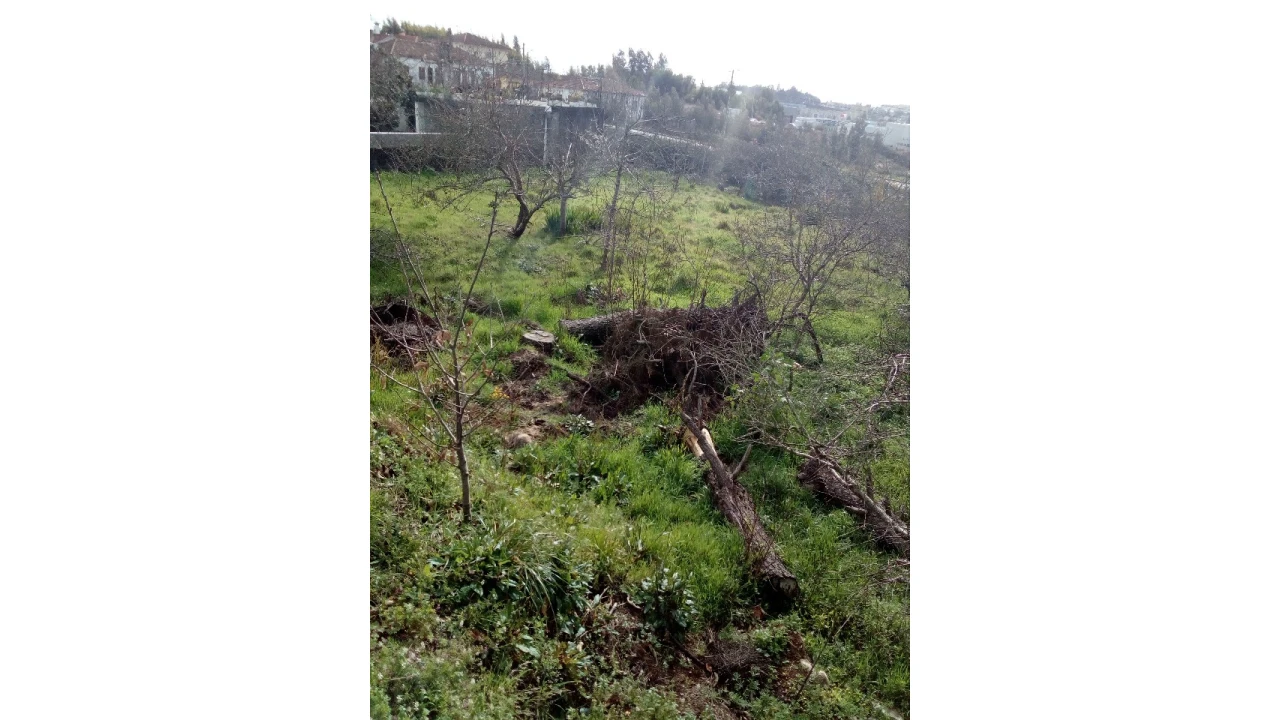 Terreno para Venda em Macieira de Sarnes Foto 3