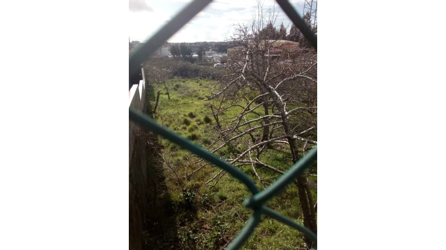Terreno para Venda em Macieira de Sarnes Foto 4
