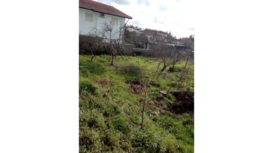 Terreno para Venda em Macieira de Sarnes Foto 2