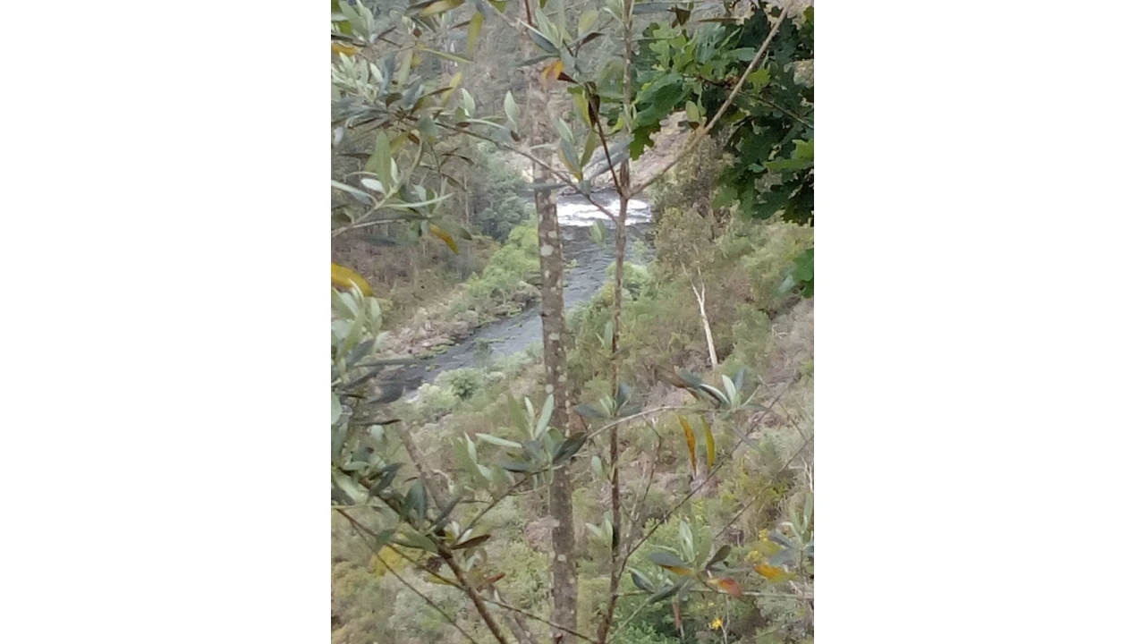 Terreno para Venda em Canelas e Espiunca Foto 13