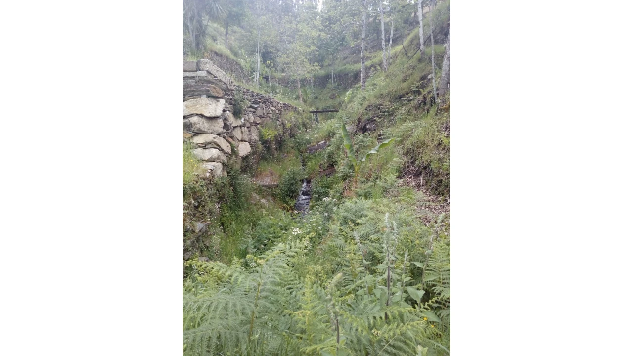 Terreno para Venda em Canelas e Espiunca Foto 15