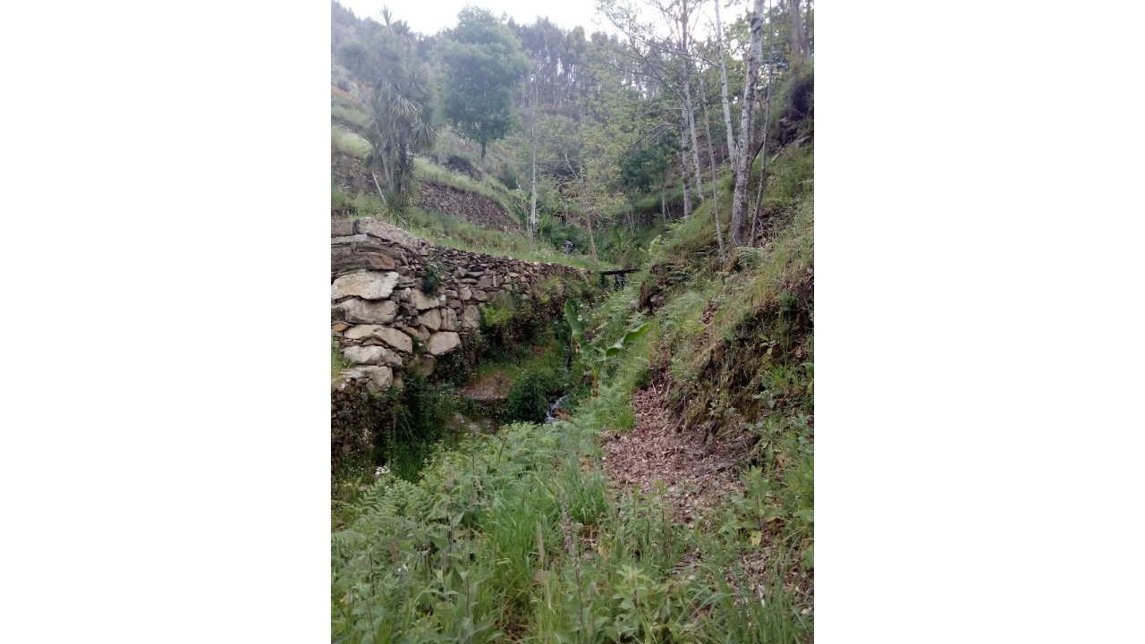 Terreno para Venda em Canelas e Espiunca Foto 14