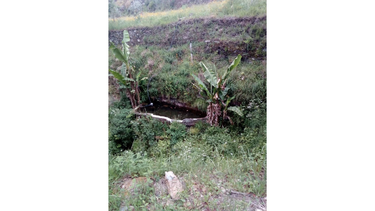 Terreno para Venda em Canelas e Espiunca Foto 12