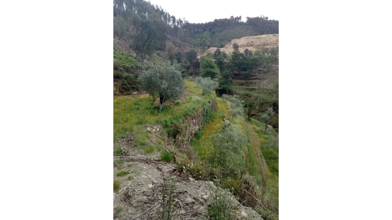 Terreno para Venda em Canelas e Espiunca Foto 8