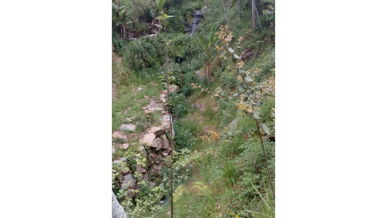 Terreno para Venda em Canelas e Espiunca Foto 6