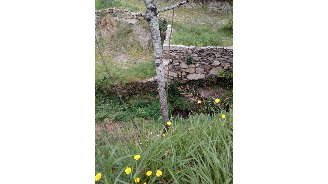 Terreno para Venda em Canelas e Espiunca Foto 5