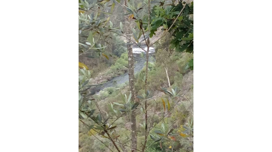 Terreno para Venda em Canelas e Espiunca Foto 13