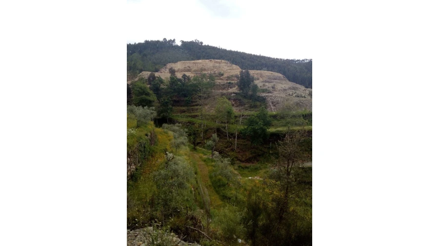 Terreno para Venda em Canelas e Espiunca Foto 9