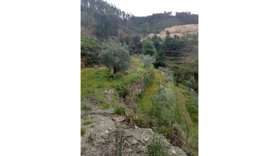 Terreno para Venda em Canelas e Espiunca Foto 8