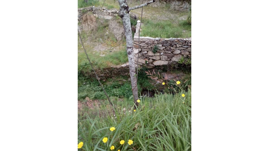 Terreno para Venda em Canelas e Espiunca Foto 5