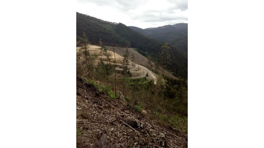 Terreno para Venda em Canelas e Espiunca Foto 2
